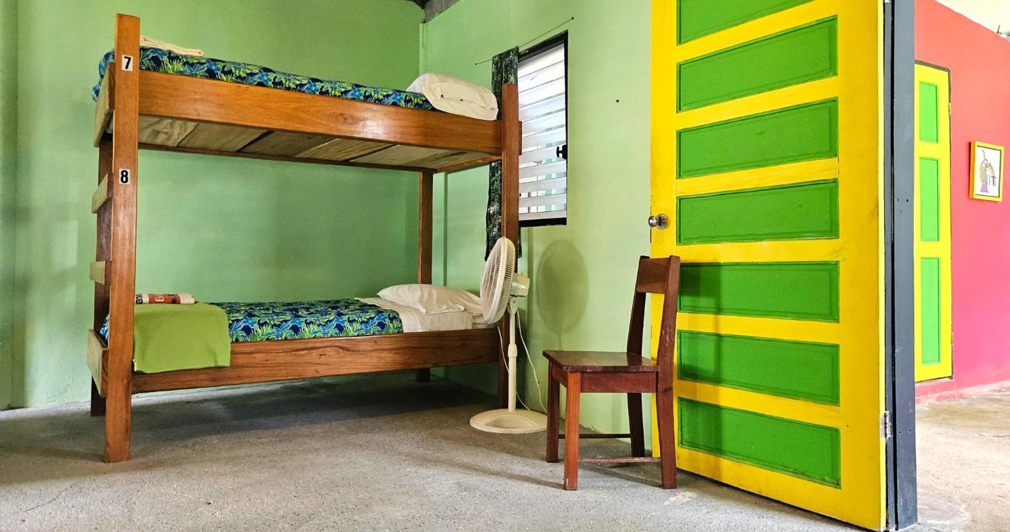 Lower Dover Jungle Lodge & Maya Ruins Unitedville Quarto foto