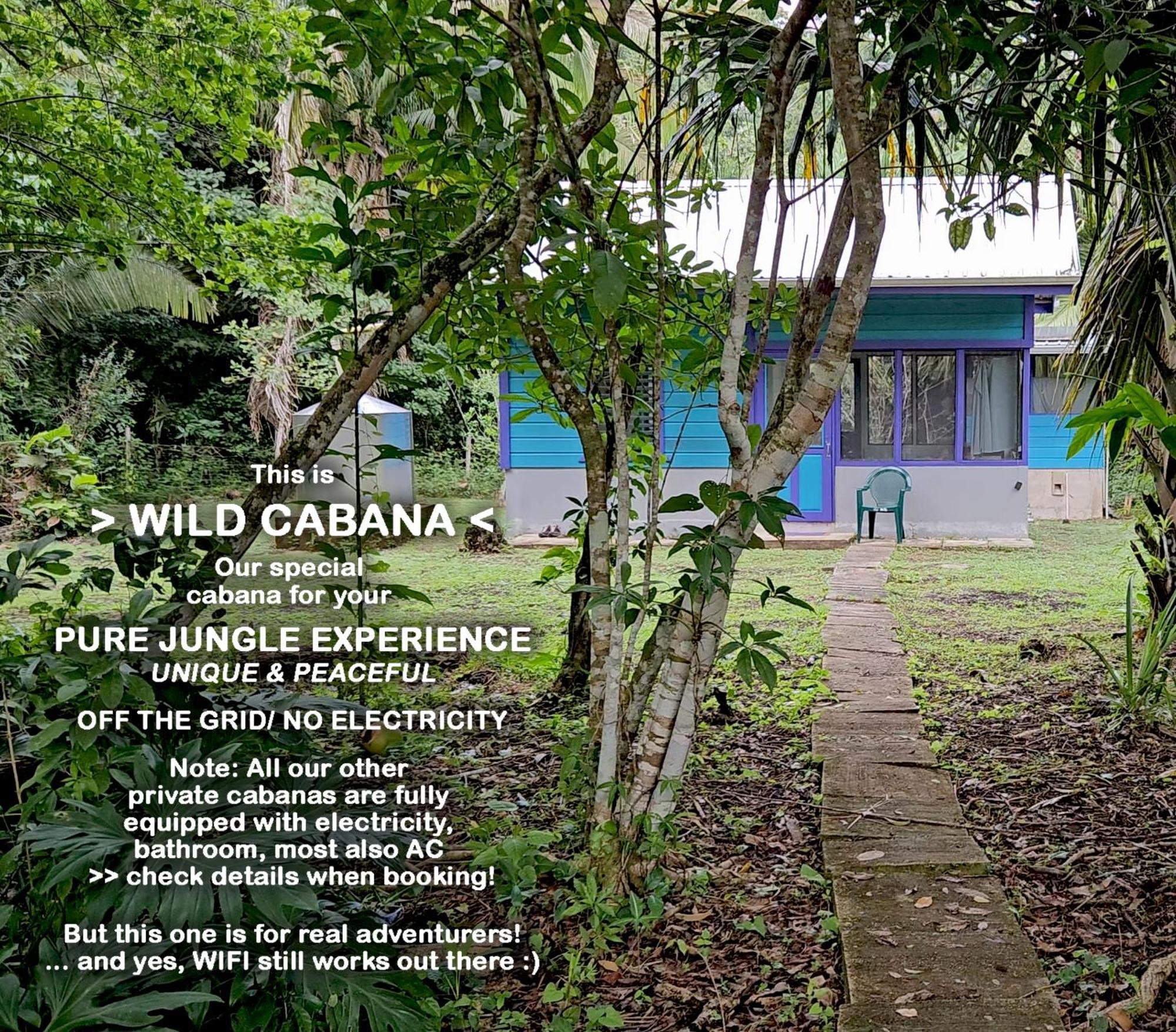 Lower Dover Jungle Lodge & Maya Ruins Unitedville Quarto foto