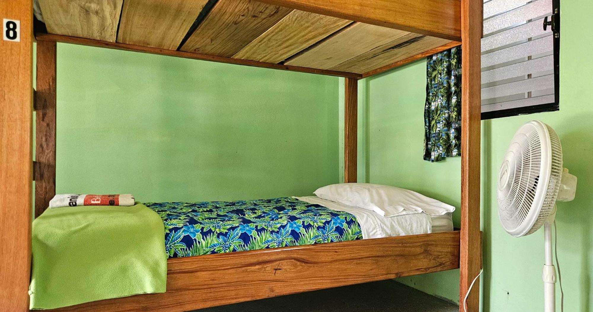 Lower Dover Jungle Lodge & Maya Ruins Unitedville Quarto foto