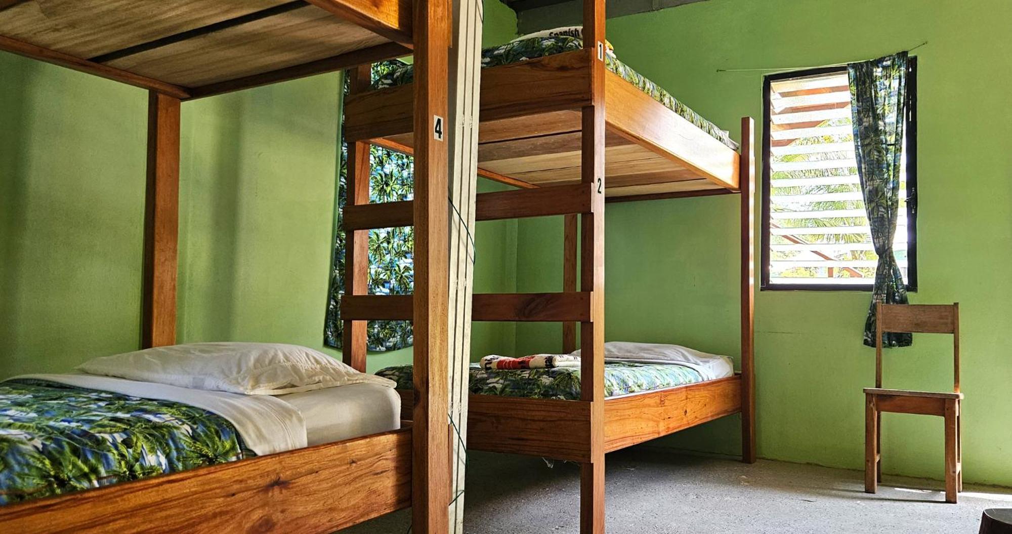 Lower Dover Jungle Lodge & Maya Ruins Unitedville Quarto foto