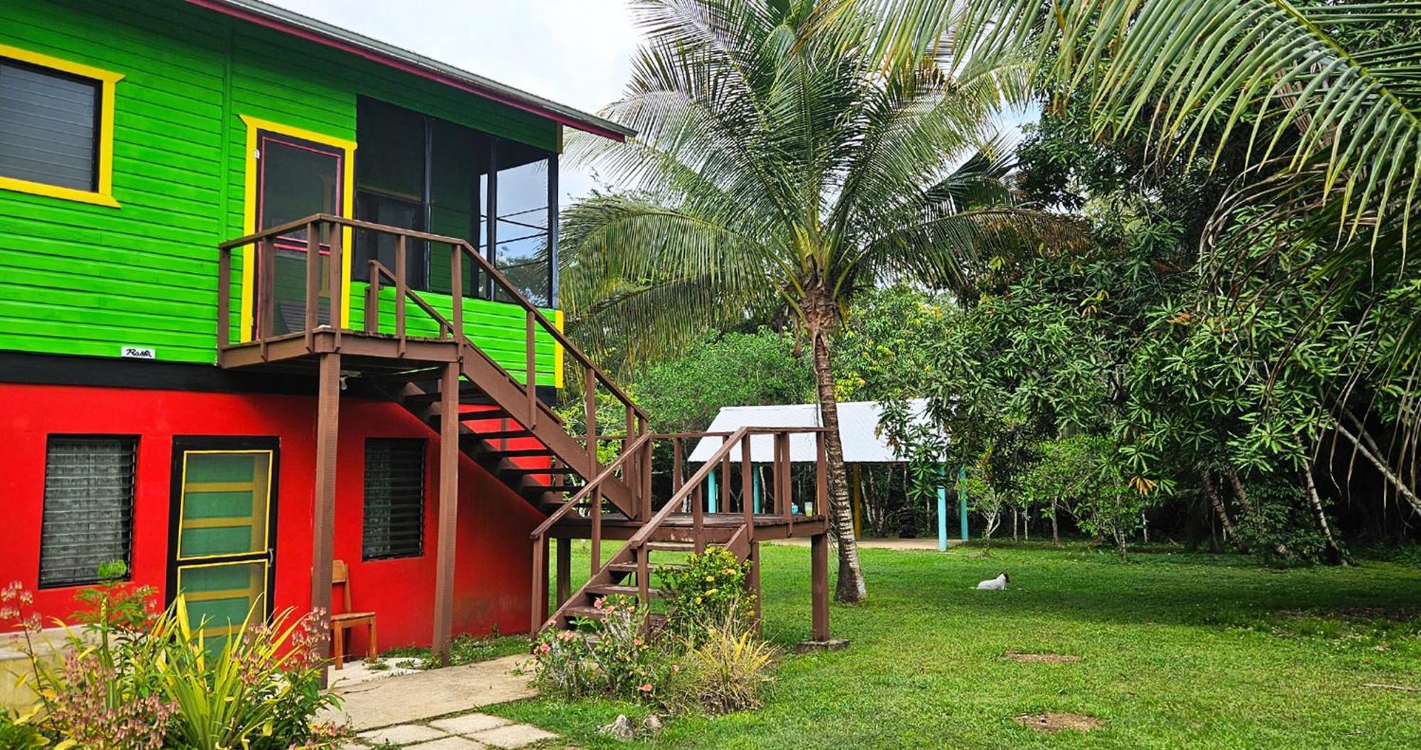 Lower Dover Jungle Lodge & Maya Ruins Unitedville Quarto foto