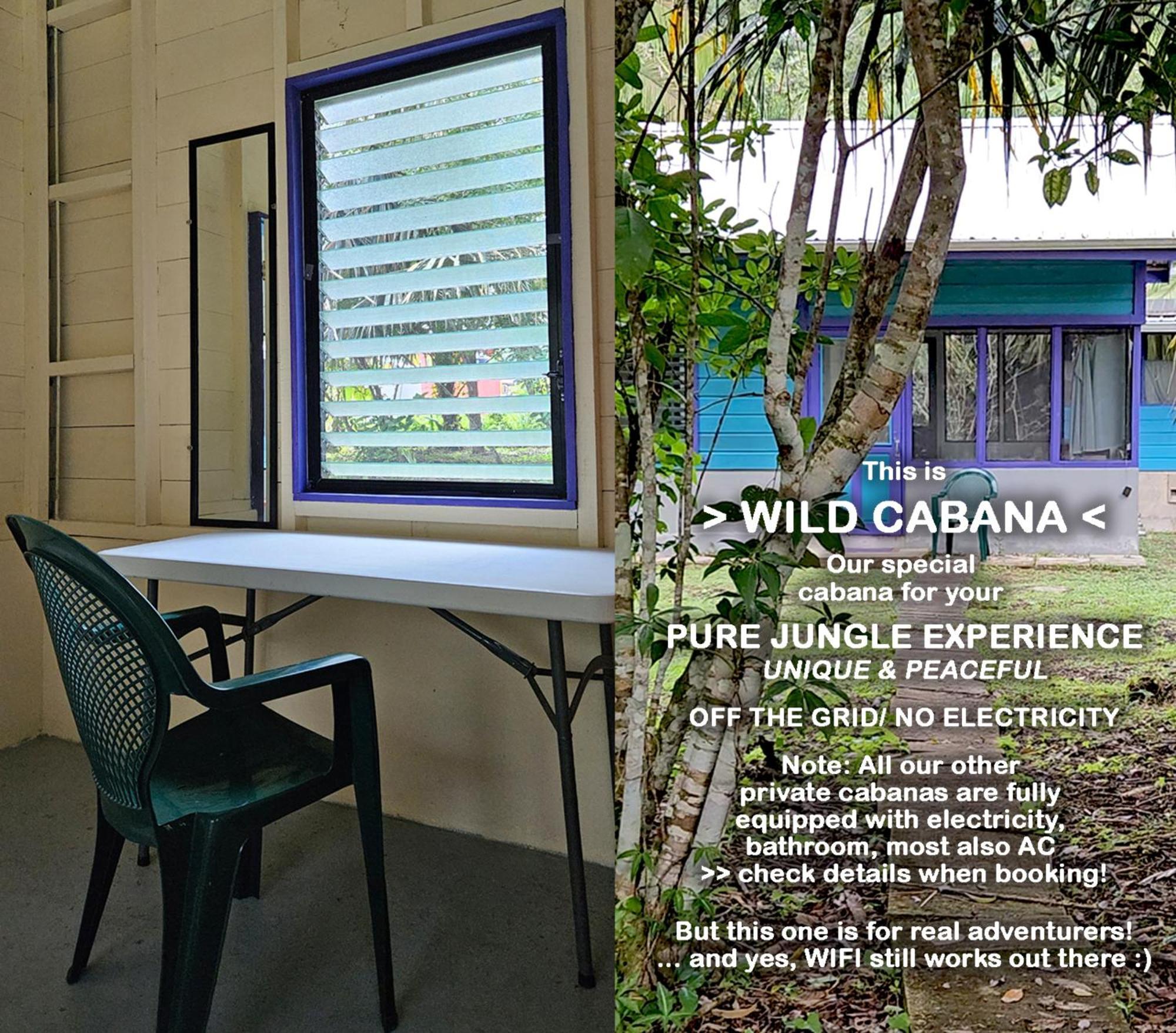 Lower Dover Jungle Lodge & Maya Ruins Unitedville Quarto foto
