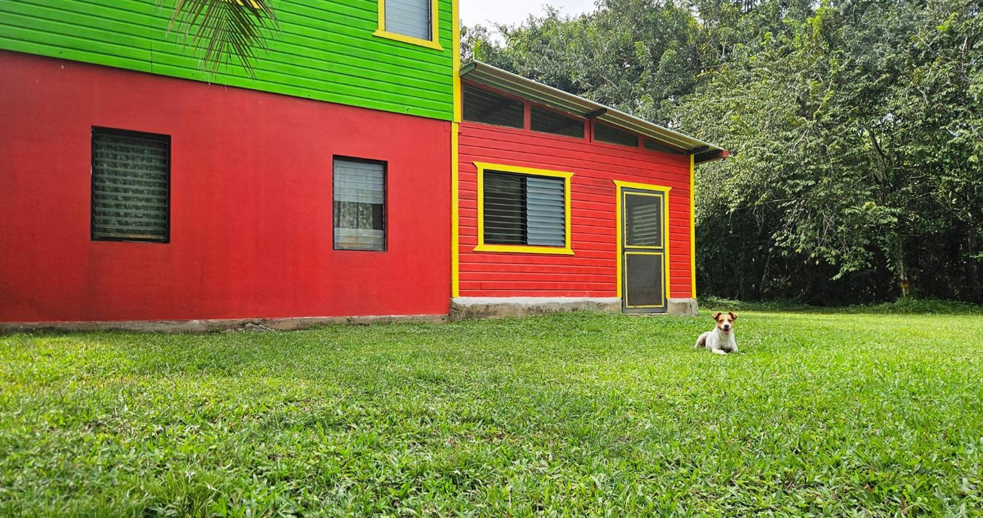 Lower Dover Jungle Lodge & Maya Ruins Unitedville Quarto foto