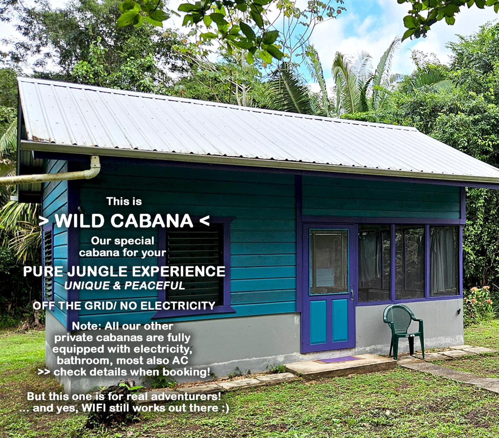 Lower Dover Jungle Lodge & Maya Ruins Unitedville Quarto foto