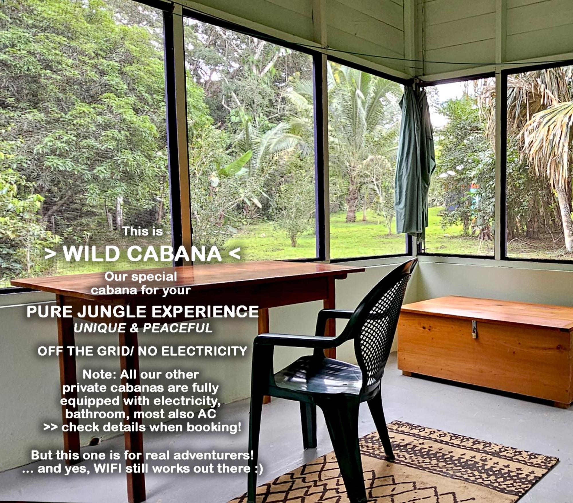 Lower Dover Jungle Lodge & Maya Ruins Unitedville Quarto foto