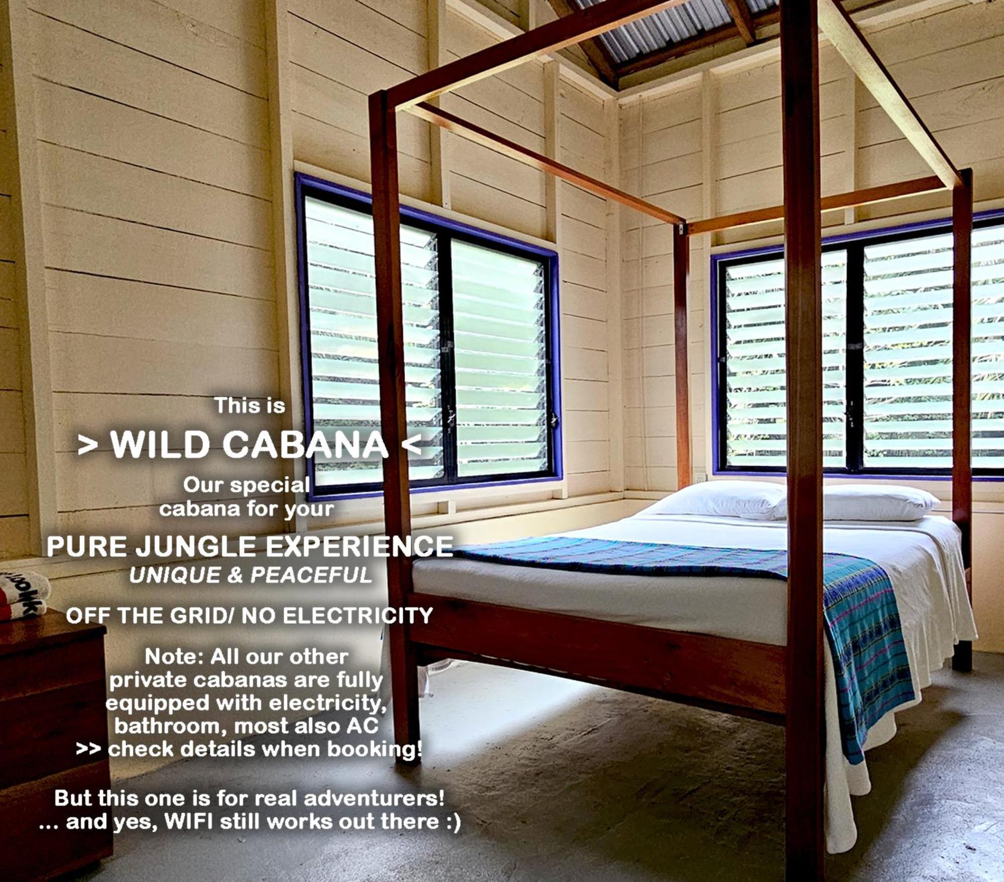 Lower Dover Jungle Lodge & Maya Ruins Unitedville Quarto foto