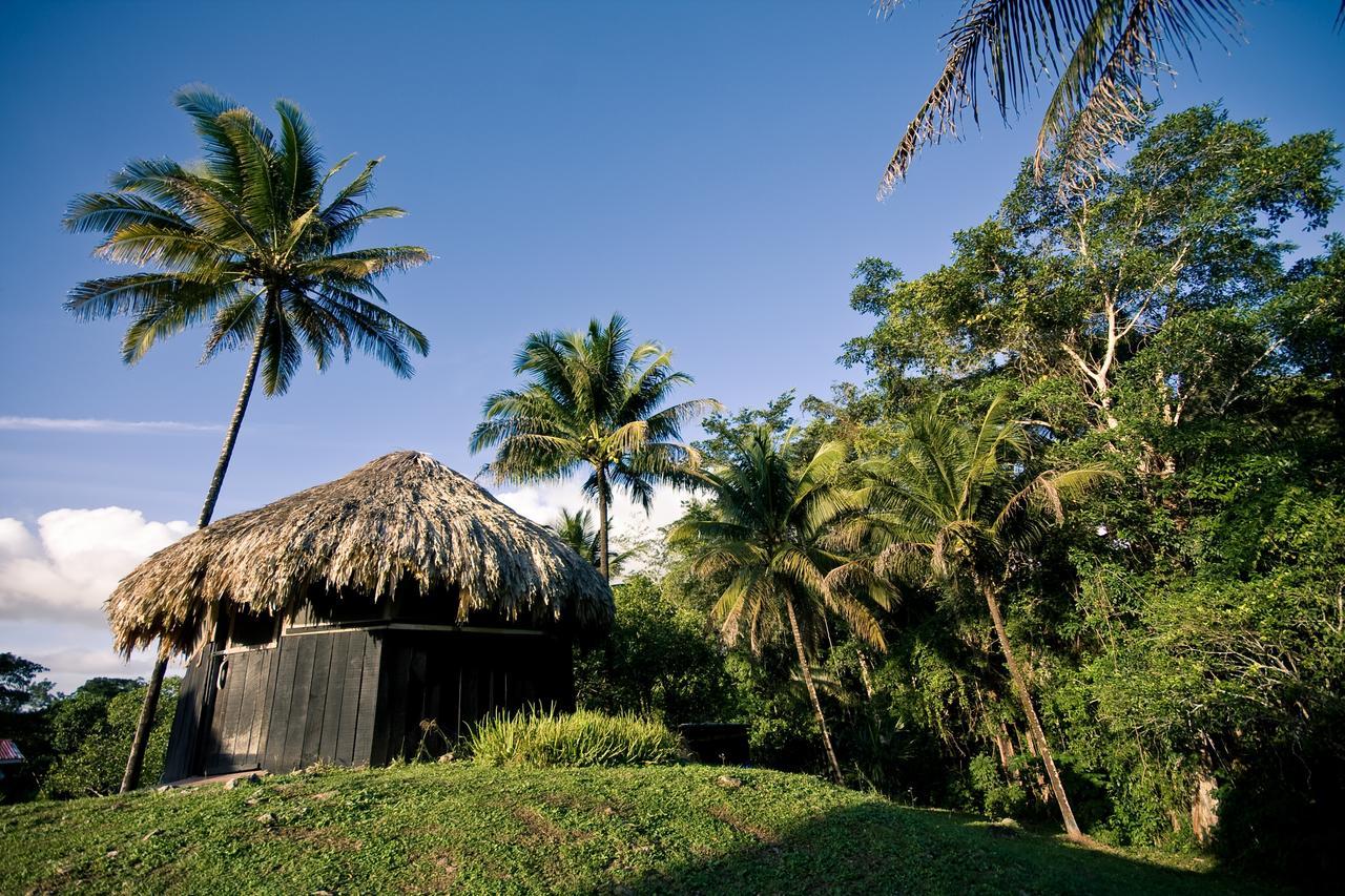 Lower Dover Jungle Lodge & Maya Ruins Unitedville Exterior foto